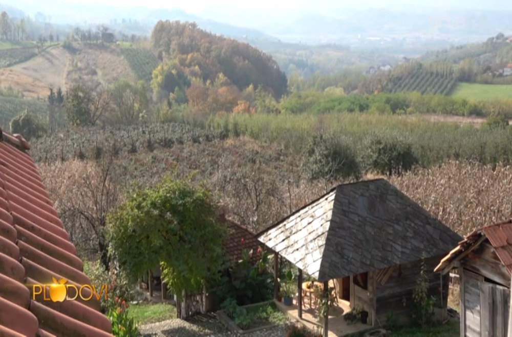 Plodovi - 07.02.2026.