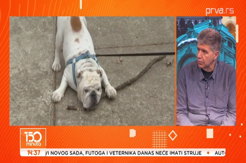 Ko napusti kućnog ljubimca kazna je 45.000 evra i tri godine zatvora