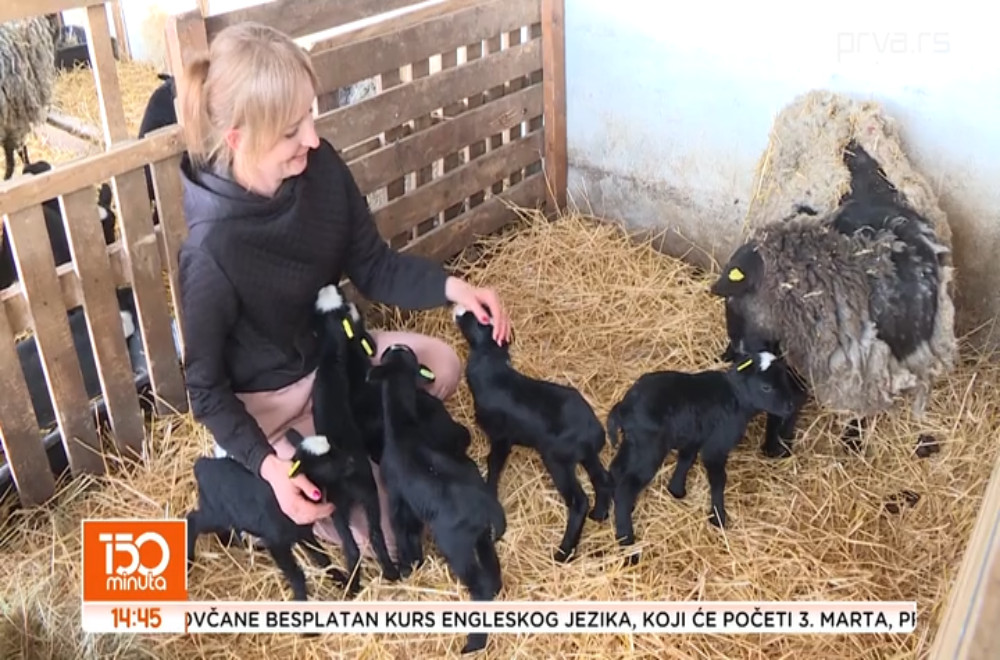 Sedam veličanstvenih iz Bogatića