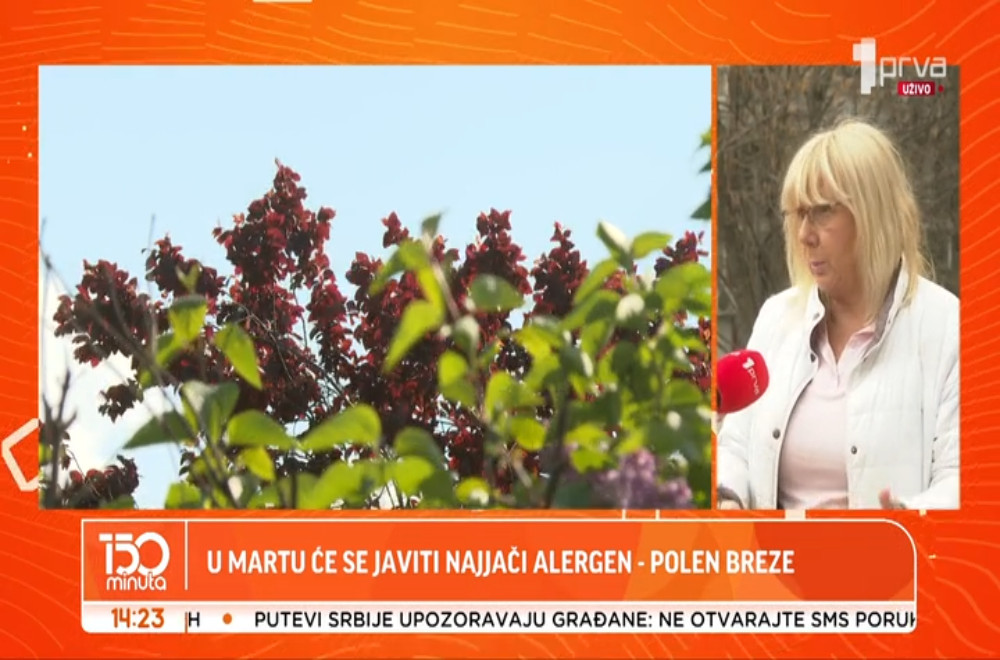 Osobe alergične na polen već se suočavaju sa prvim simptomima