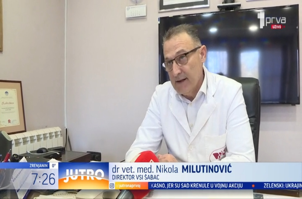 Afrička kuga svinja ponovo se pojavila u Mačvanskom okrugu