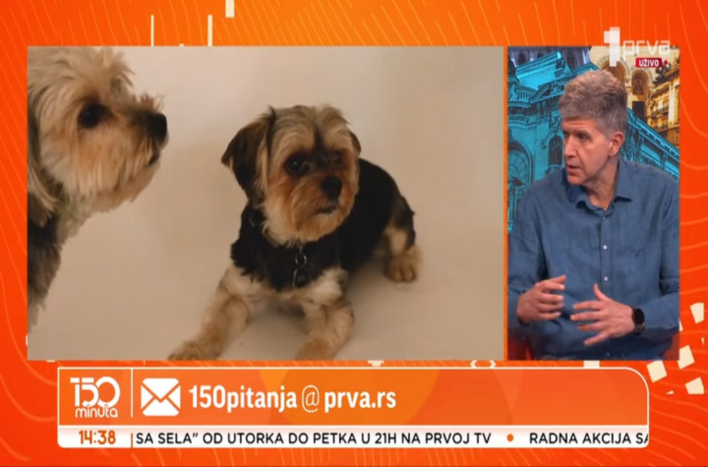 Veterinar Vladimir Terzin odgovara na pitanja gledalaca
