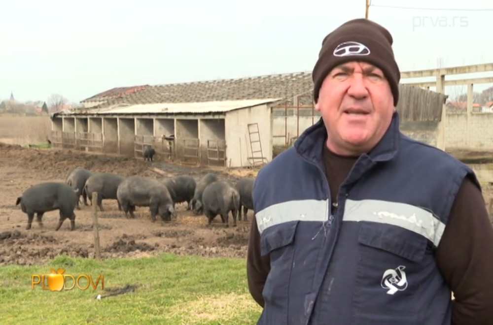 Plodovi - 07.03.2026.