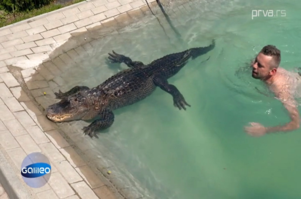 Galileo - 08.03.2026.