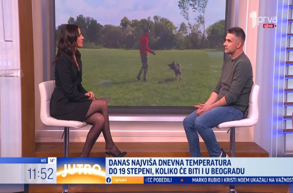 Zbog čega su psi rase Kane Korso opasni?