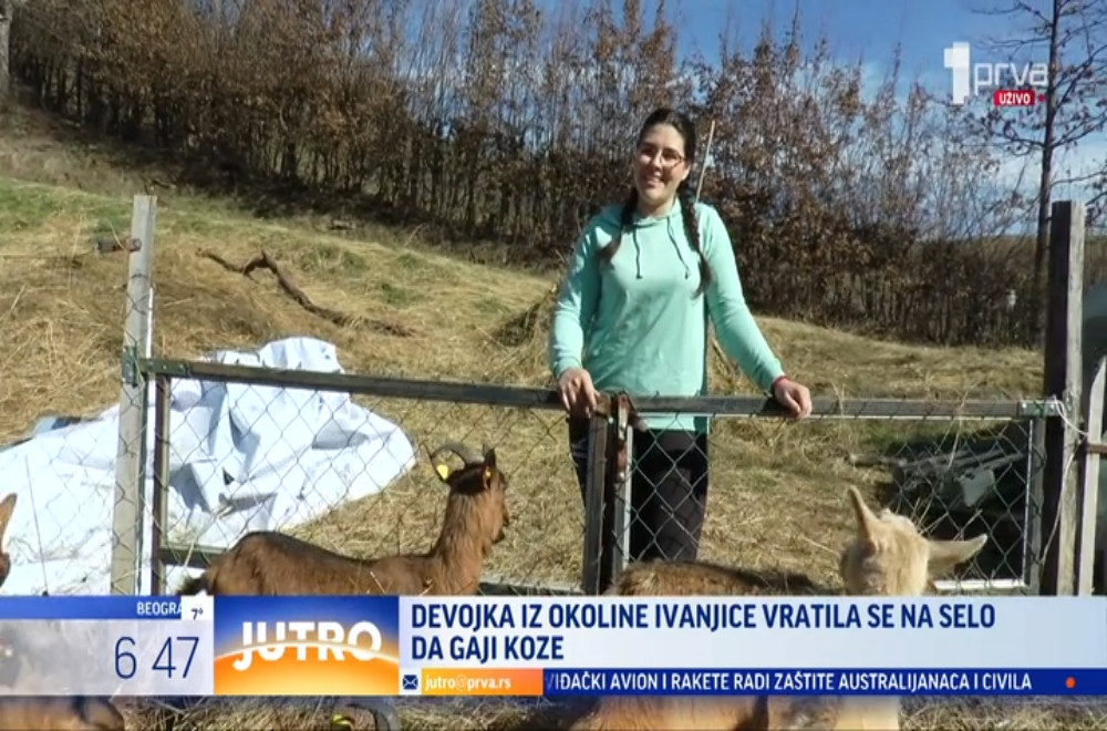 Devojka iz Ivanjice gaji koze