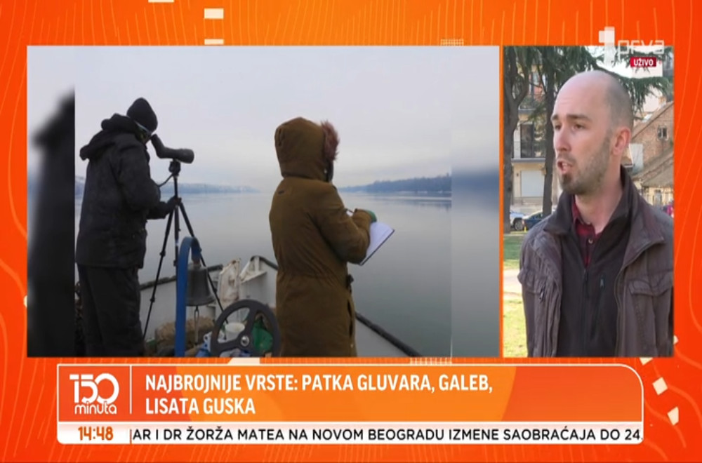 Održan 60. Međunarodni zimski popis ptica