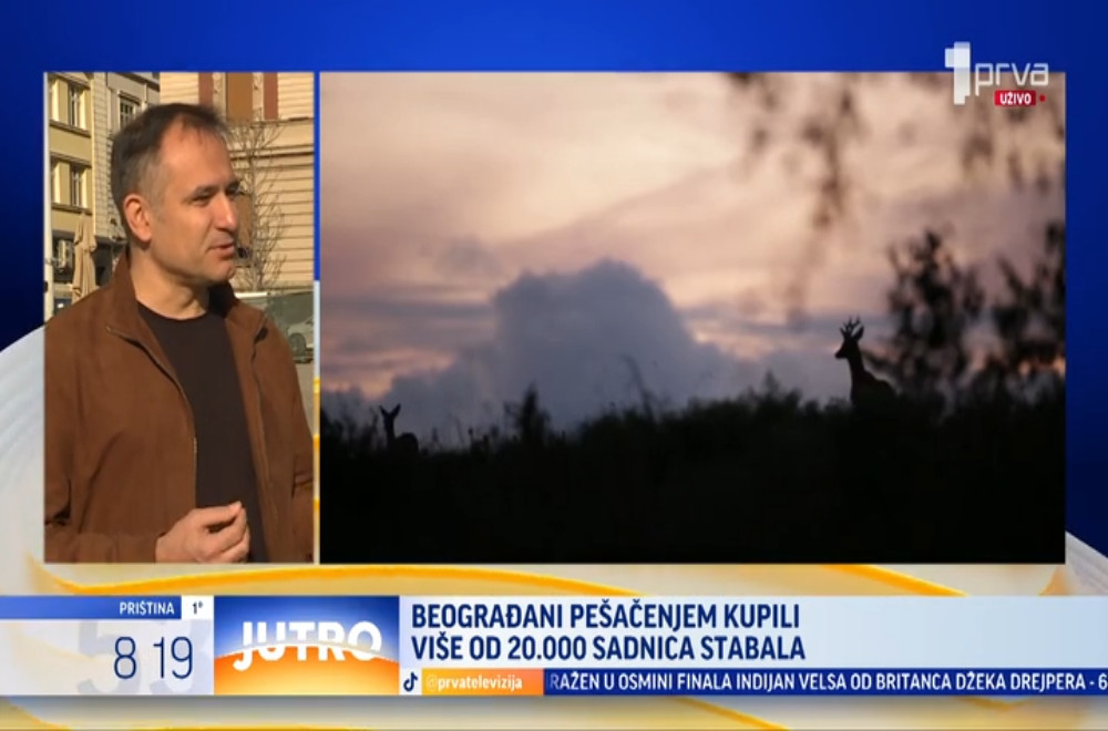 Beograđani su kupili više od 20.000 sadnica drveća hodajući