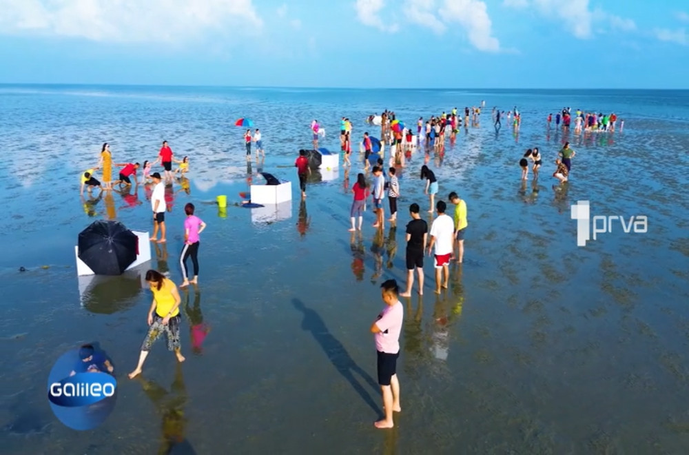 Gledaćete - 15.03.2026.