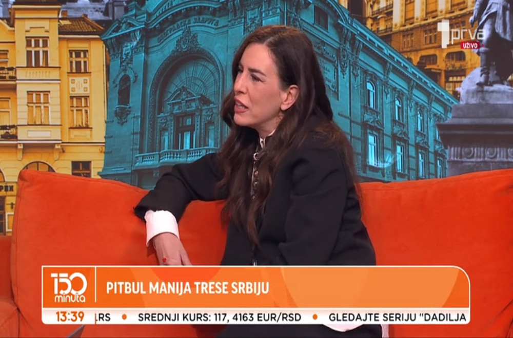 Pitbul manija trese Srbiju!