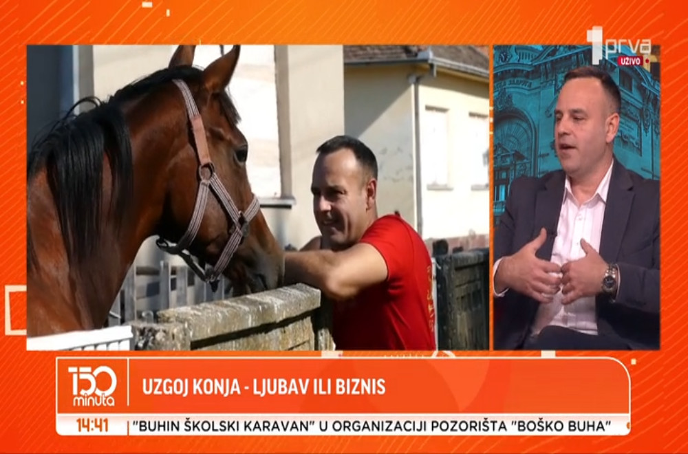 Da li je uzgoj konja samo ljubav ili je i biznis?
