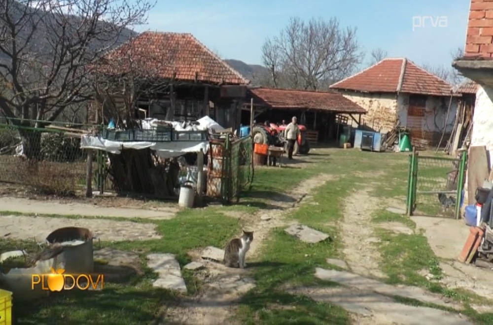 Plodovi - 21.03.2026.