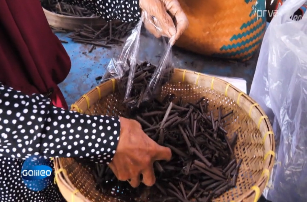 Galileo - 22.03.2026