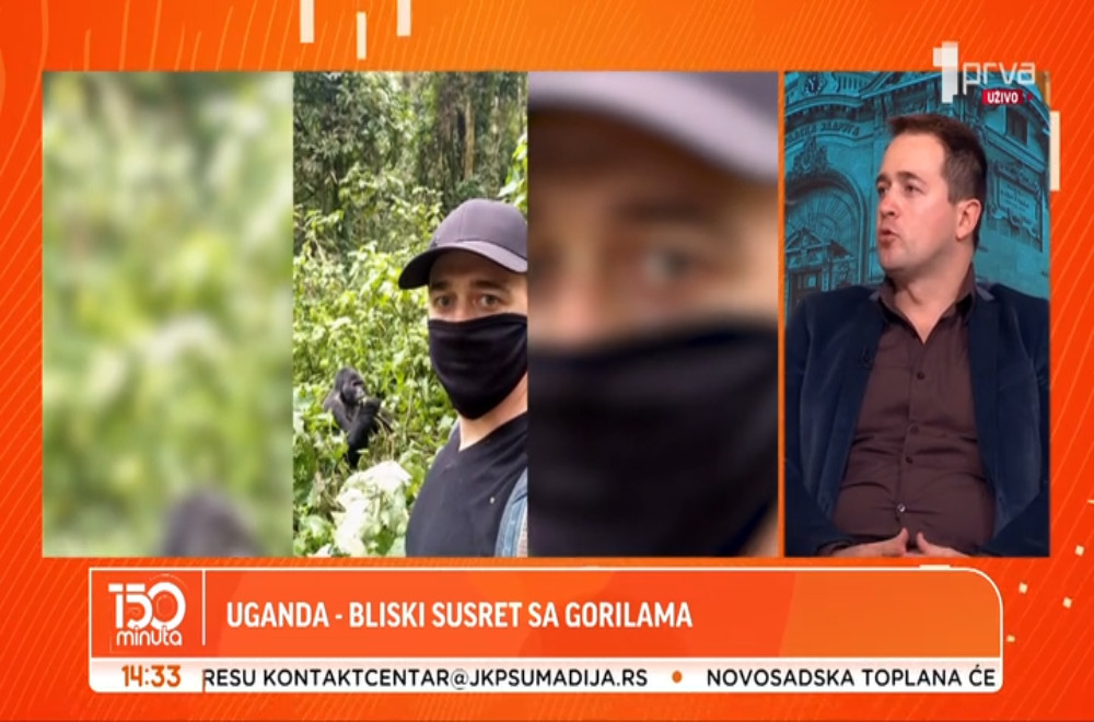 Kako je izgledao Nenadov bliski susret sa gorilama?