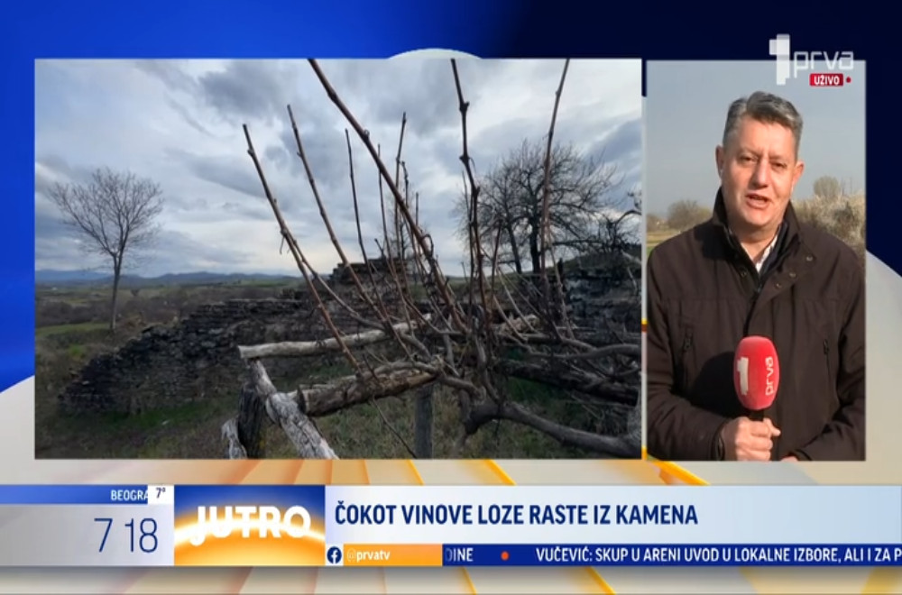 Bata Ilić nas vodi na „Obično, neobično mesto“