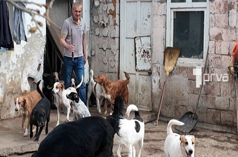 Gledaćete - 28.03.2026.