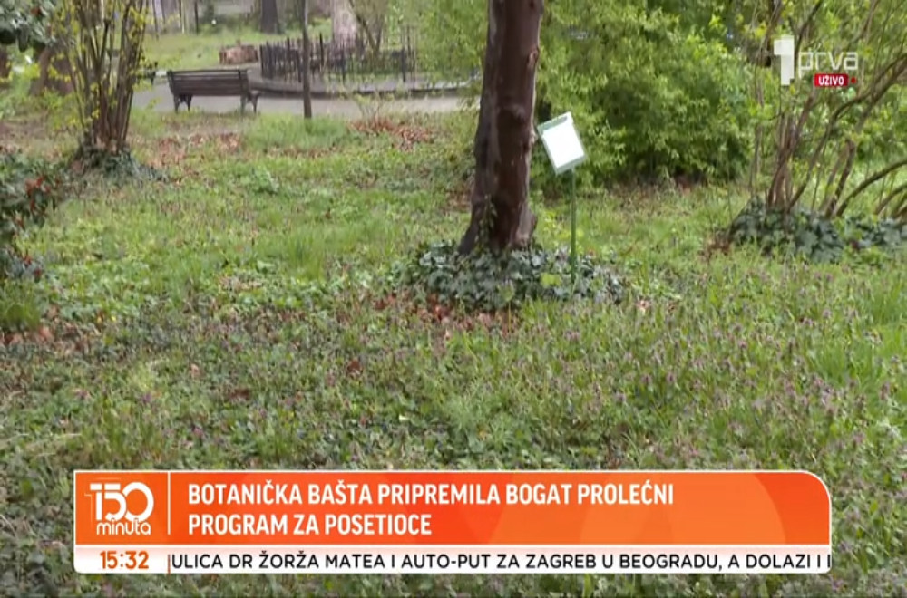 Botanička bašta pripremila bogat prolećni program za posetioce