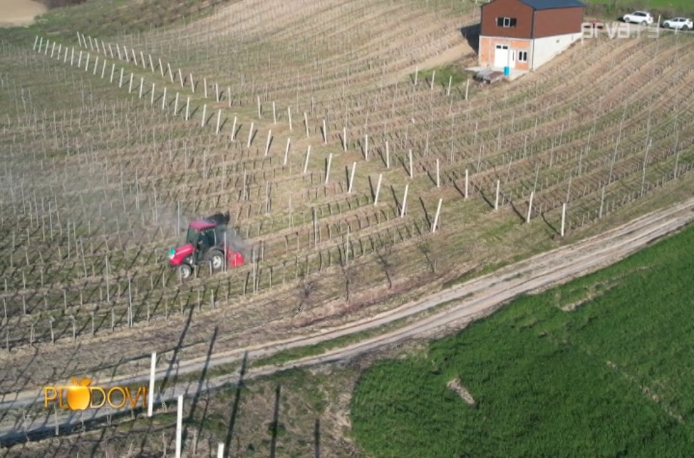 Plodovi - 28.03.2026.