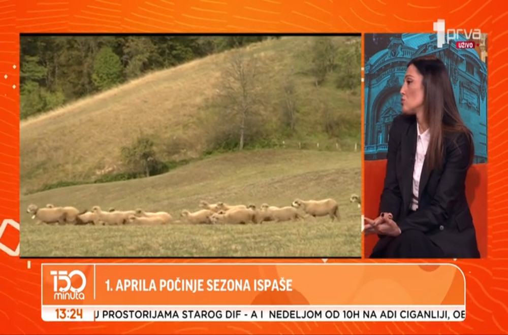 Kako posledice uzurpatorskog delanja utiču na stočni fond u Srbiji?