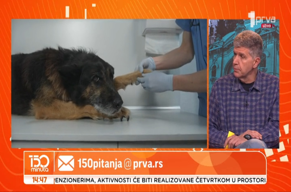 Veterinar Vladimir Terzin odgovara na pitanja gledalaca