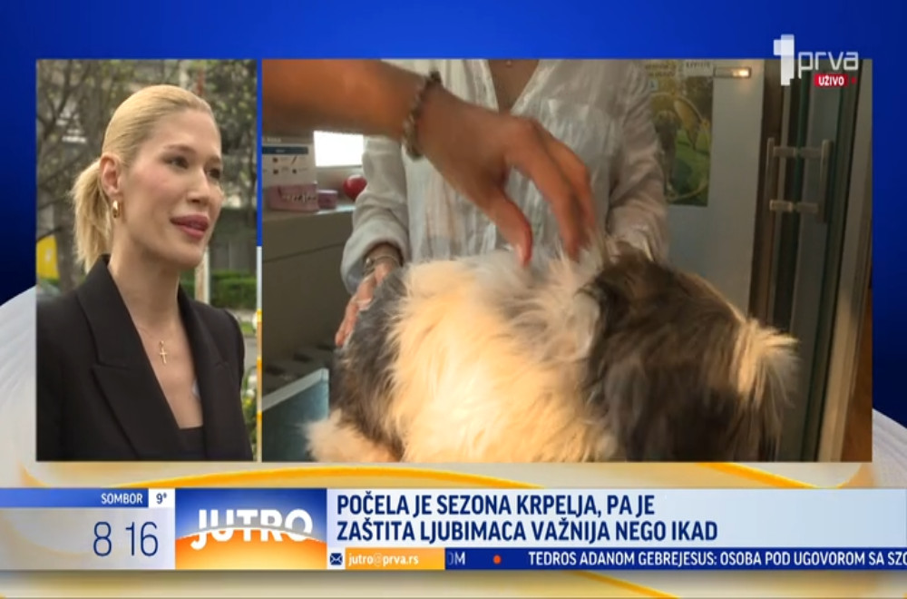 Sezona krpelja – kako najbolje zaštititi kućne ljubimce?