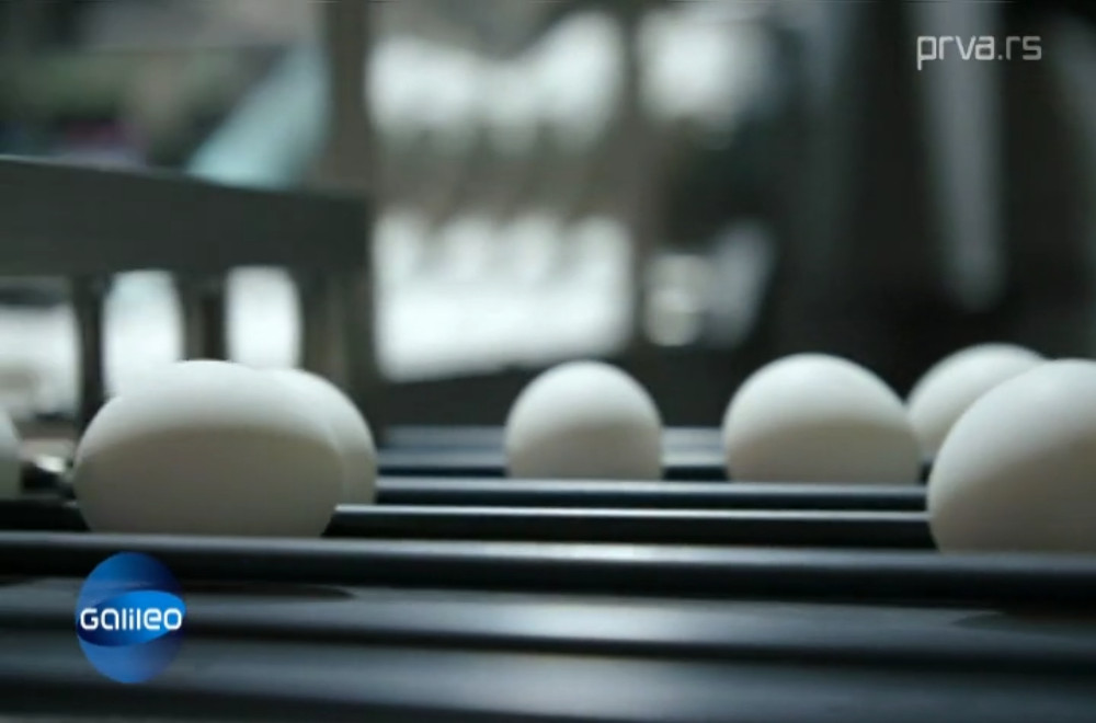 Galileo - 12.04.2026: Kako se Uskrs na Siciliji pretvara u spektakularno takmičenje?