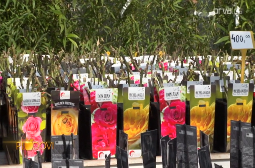 Plodovi - 18.04.2026.