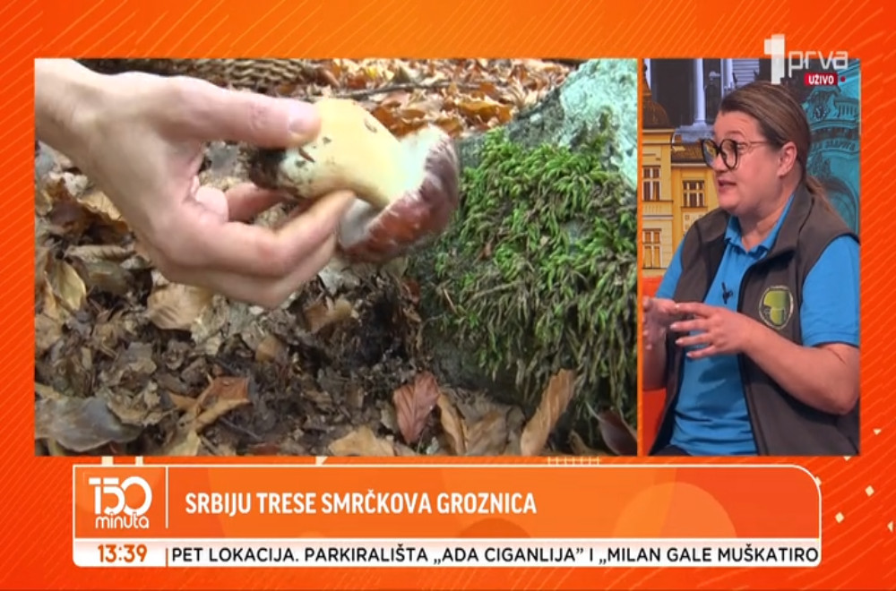 Da li je zaista moguće zaraditi 500+ evra za branje pečurki?