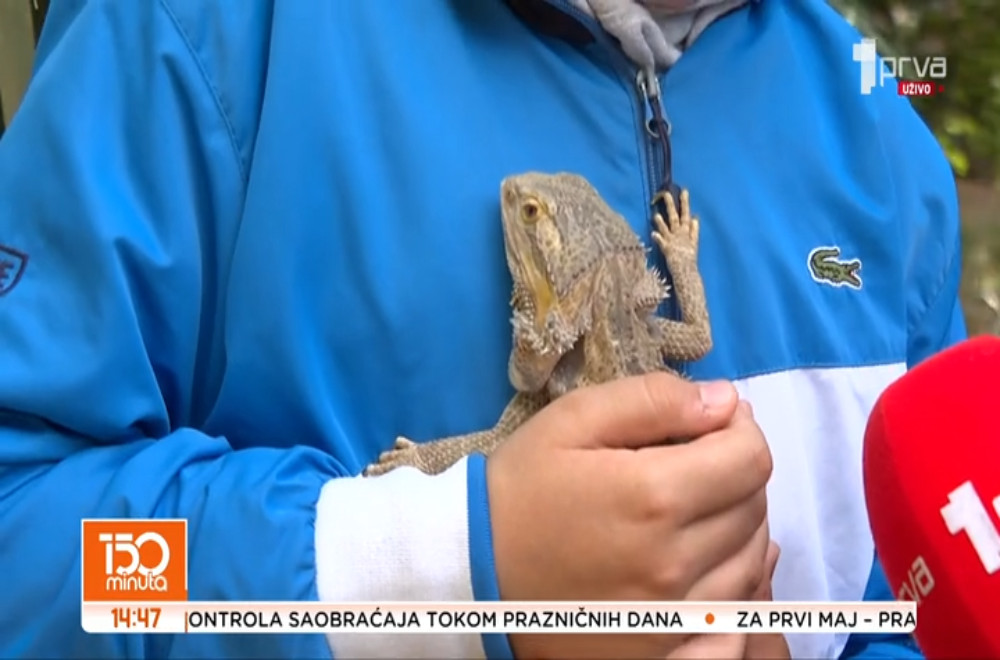 Prvomajsko “gušterisanje” u Beogradu