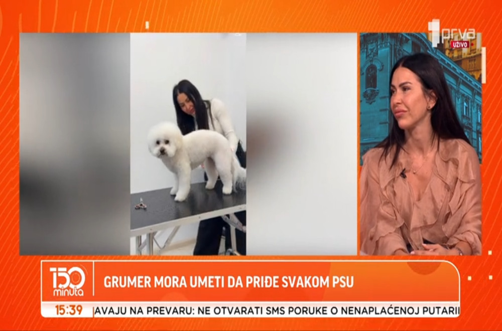 Koja rasa pasa je najlakša za održavanje, a kome je potrebna posebna nega?
