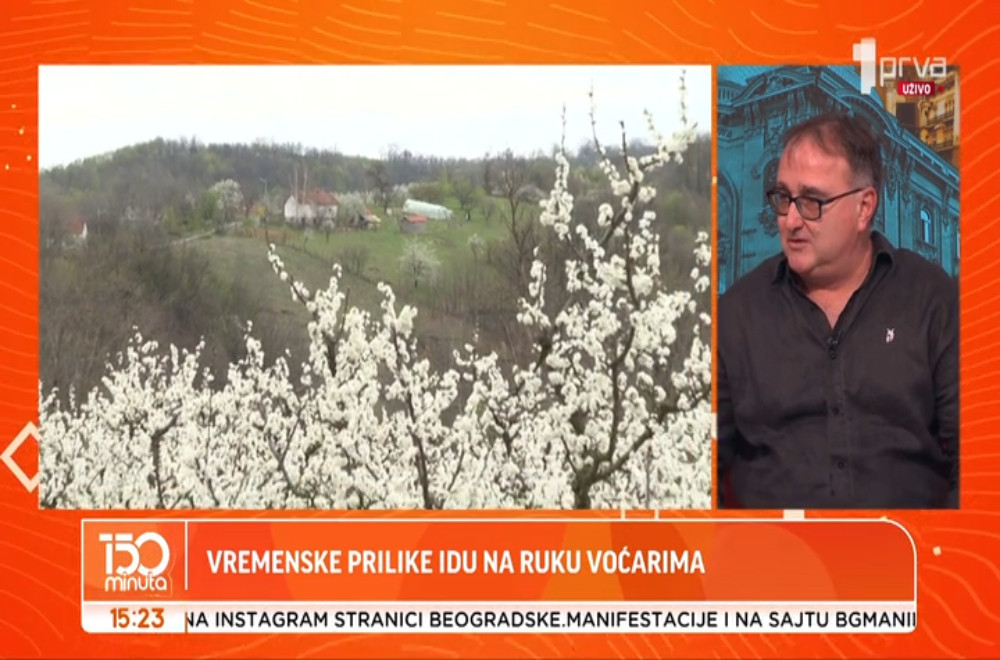 Da li bi rod voća mogao da bude iznad proseka ove sezone?