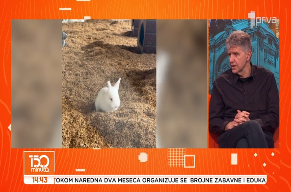 Mit ili istina?