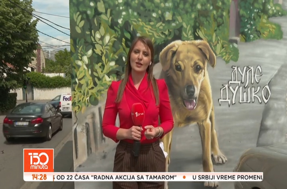 Pas Dule dobio mural