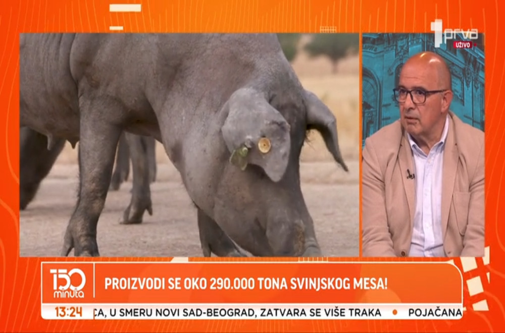 Šta se dešava u srpskom stočarstvu?