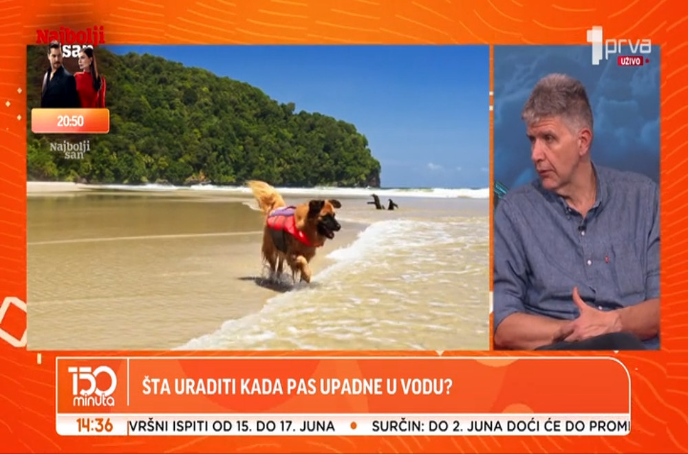 Umeju li svi psi da plivaju?