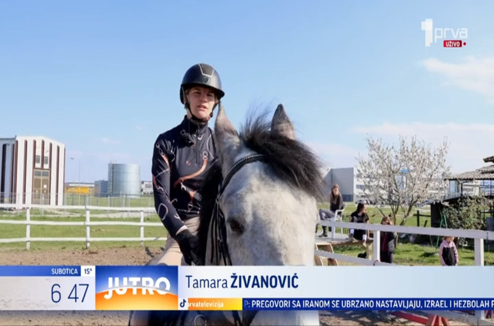 Kako izgleda dan u školi jahanja?