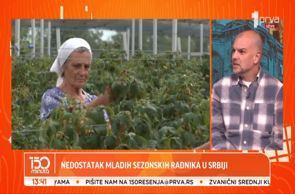 Nedostatak mladih sezonskih radnika u Srbji