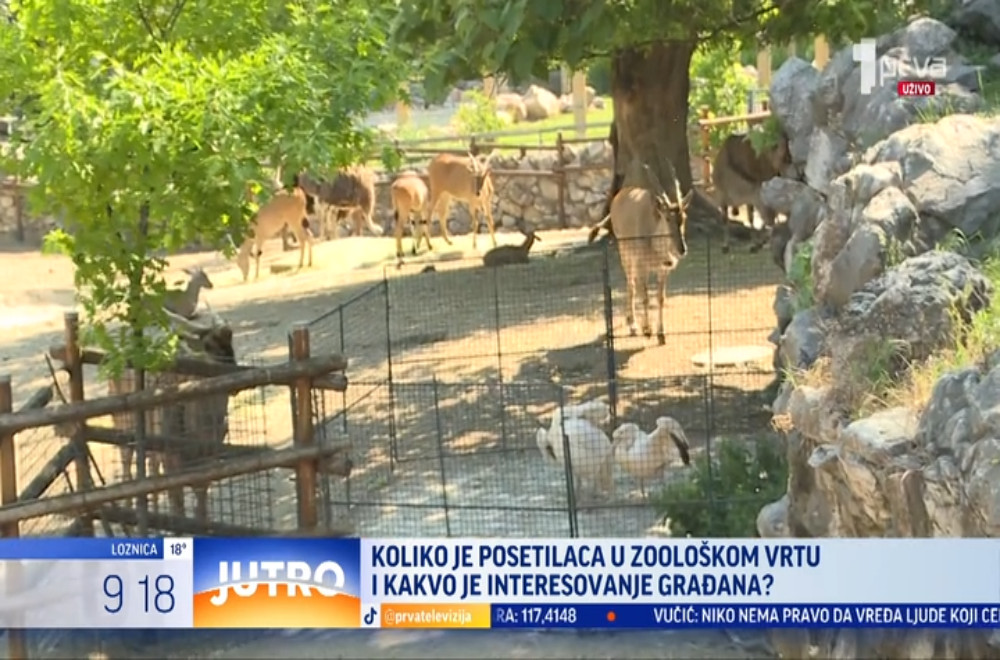 Šta sve očekuje posetioce zoološkog vrta?