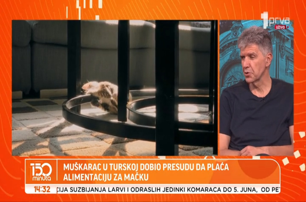 Besplatno letovanje za ljubitelje mačaka