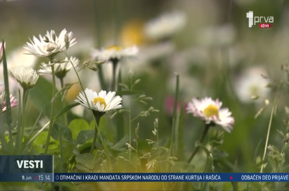 Vesti u 15h - 09.06.2026.