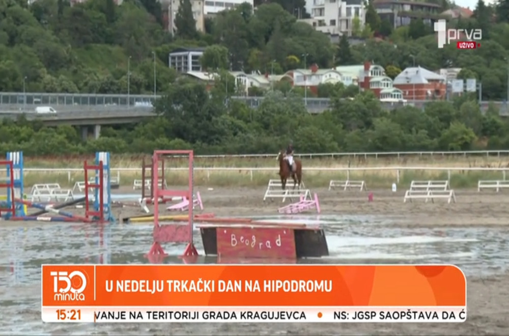 Beogradski Hipodrom slavi rođendan