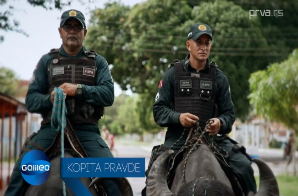 Galileo - 14.06.2026: Zašto se u Brazilu kriminalci više plaše policijskih "vozila" nego samih policajaca?