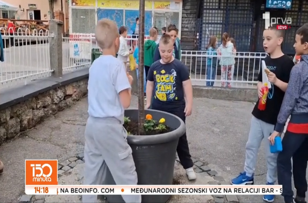 Film o Pavlu