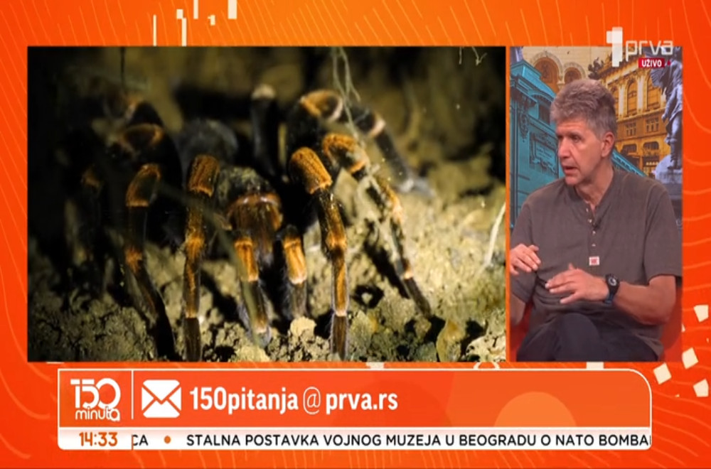 Da li kokoške razgovaraju sa svojim jajima?