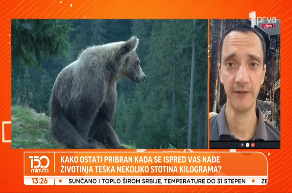 Šta da radite ako se nađete oči u oči sa medvedom?