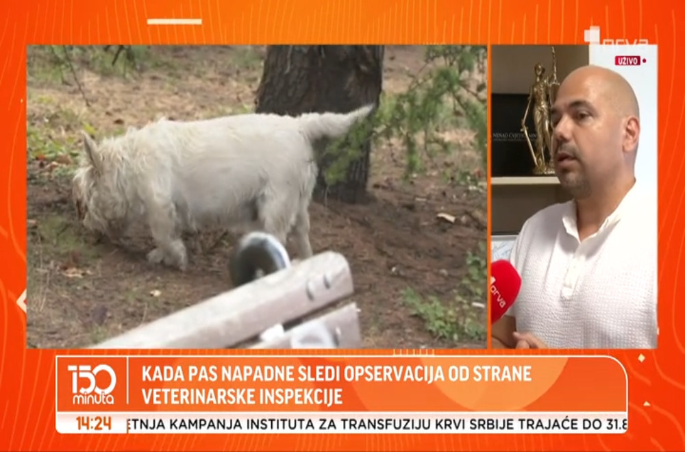 Šta se dešava sa vlasničkim psom koji napadne čoveka?