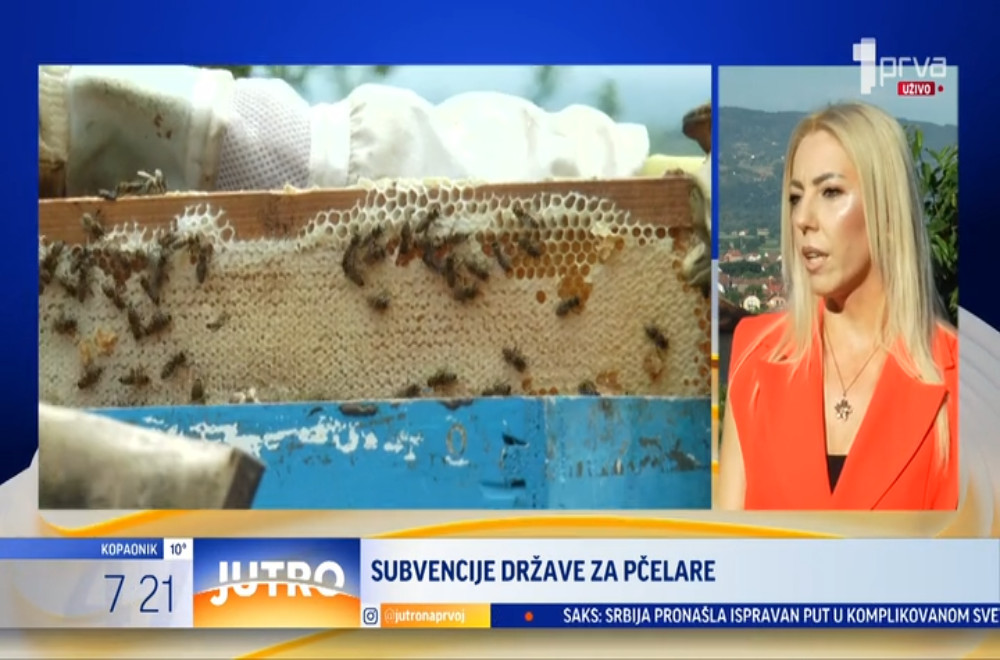 Ministarstvo poljoprivrede raspisalo subvencije za pčelare