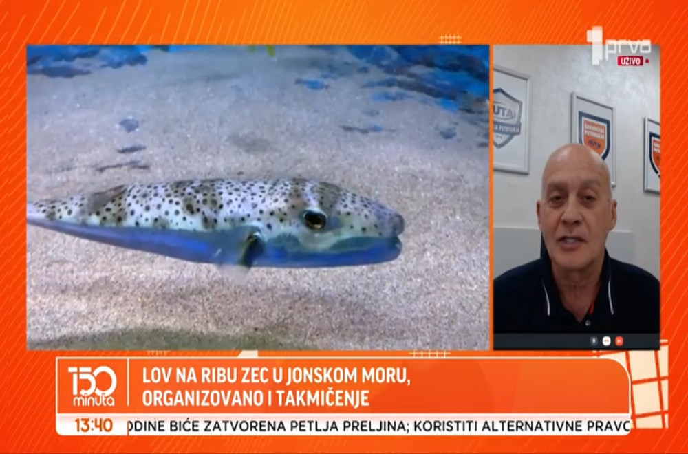 Da li je riba zec uzburkala more i ove godine?