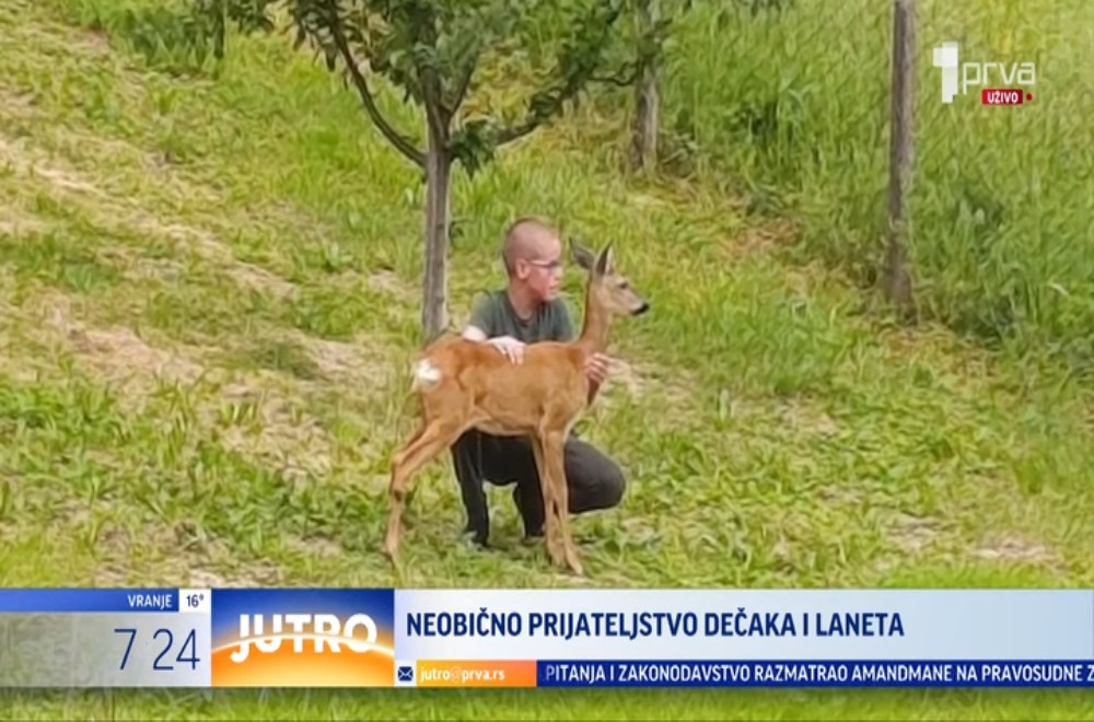 Neobično prijateljstvo između dečaka i laneta
