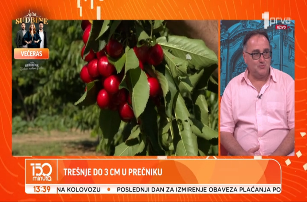 Da li će ova godina biti berićetna za srpskog seljaka?